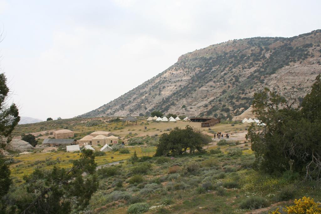فندق مخيم رمانة دانا المظهر الخارجي الصورة